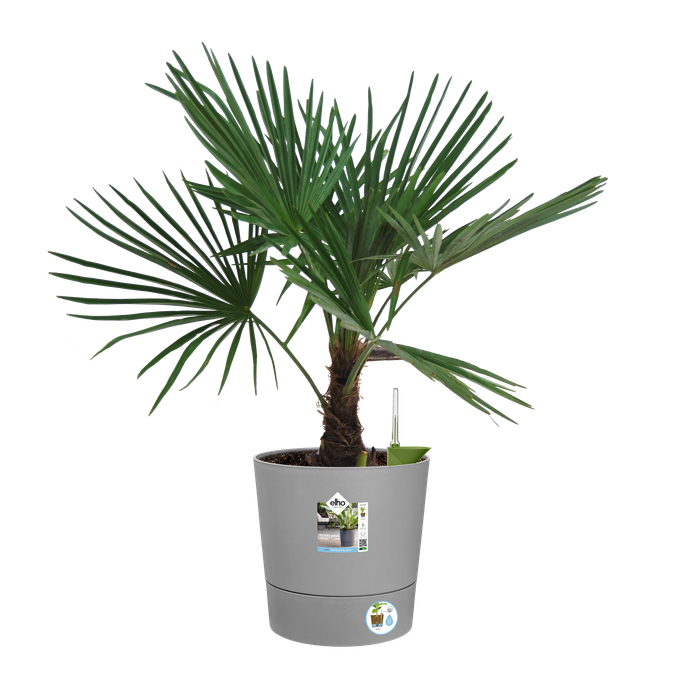 greensense aqua care rund 35cm light beton